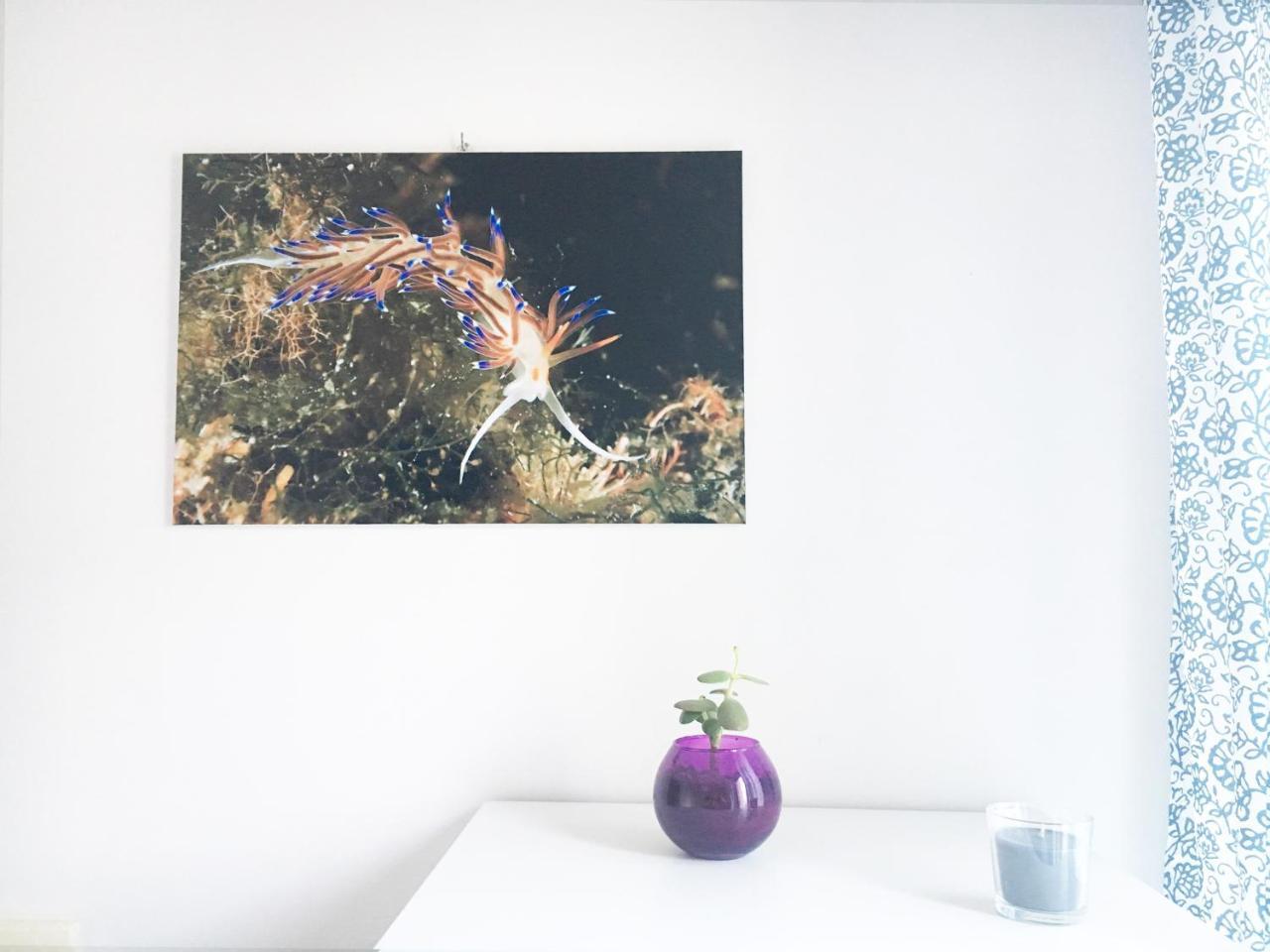 Blu Rooms ماريتّيمو المظهر الخارجي الصورة